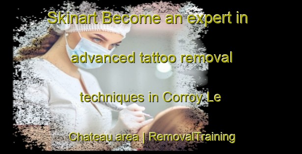 Skinart Become an expert in advanced tattoo removal techniques in Corroy Le Chateau area | RemovalTraining | RemovalClasses | SkinartTraining-Belgium